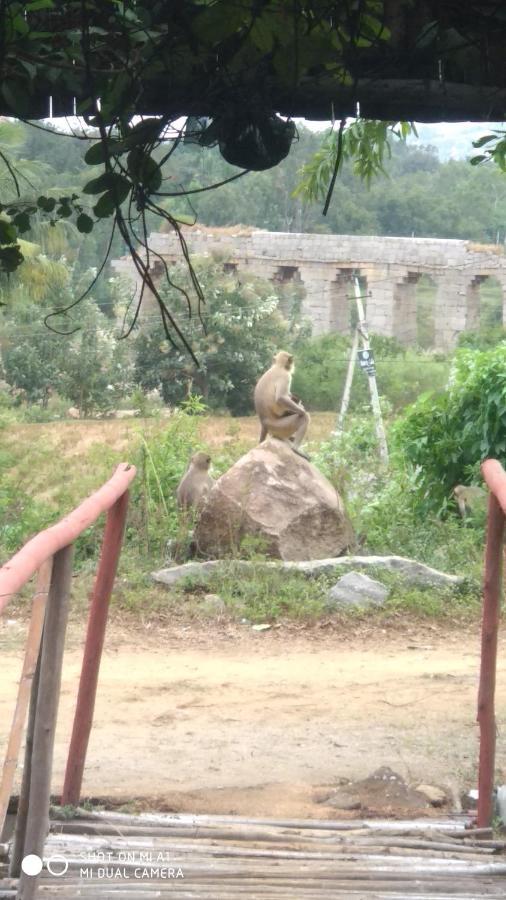 Om Shanti Om Homestay Hampi Exterior photo